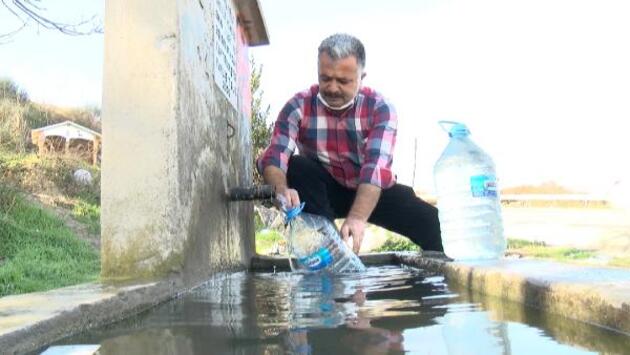 i̇stanbul'da 30 saatlik su kesintisi: hayvanlar için de su depolandı
