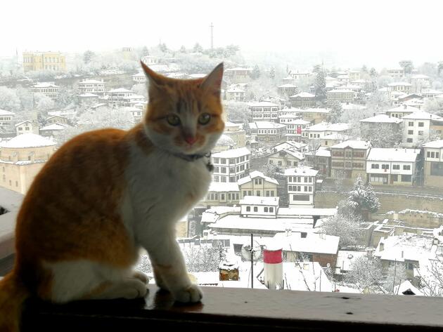 osmanlı şehri safranbolu'dan eşsiz 'kar' manzarası