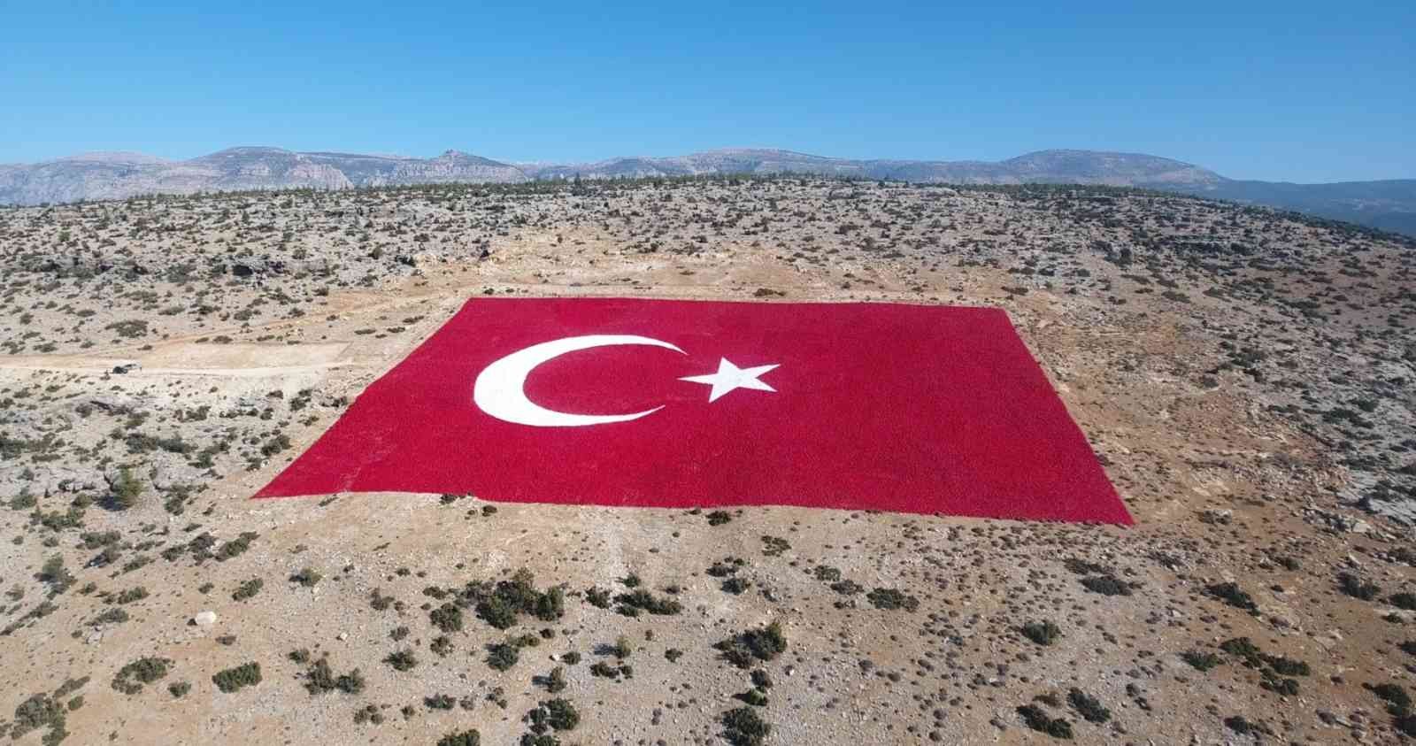 22 donumluk araziye islenen dev turk bayragi 20 gunde boyandi 876e2f8